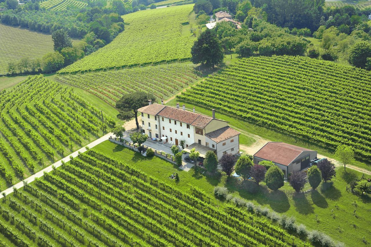 Terre Boscaratto Bed & Breakfast Susegana Bagian luar foto