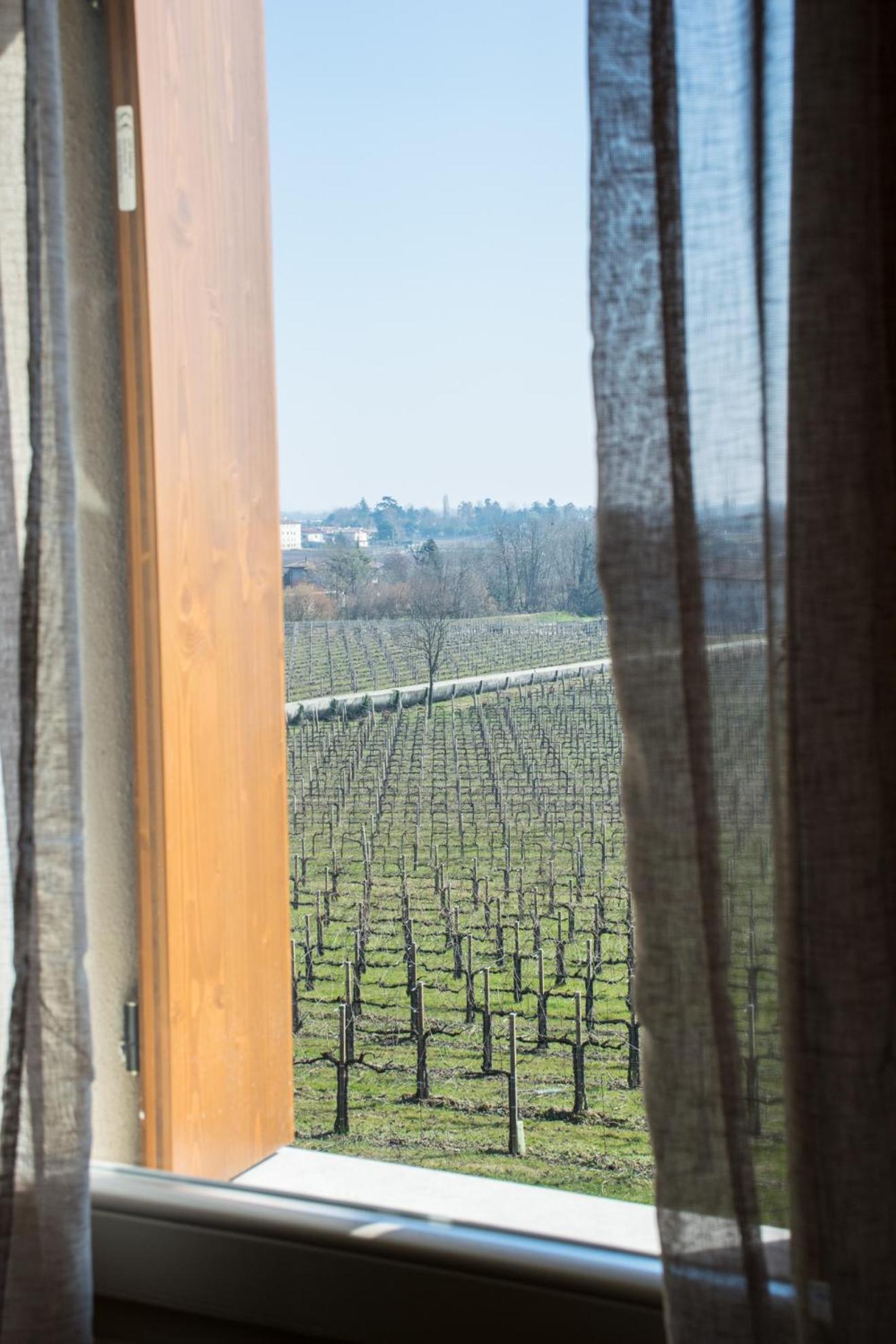 Terre Boscaratto Bed & Breakfast Susegana Bagian luar foto