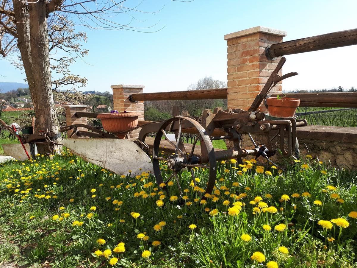 Terre Boscaratto Bed & Breakfast Susegana Bagian luar foto