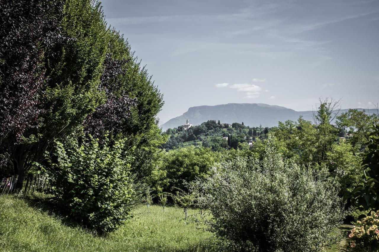 Terre Boscaratto Bed & Breakfast Susegana Bagian luar foto