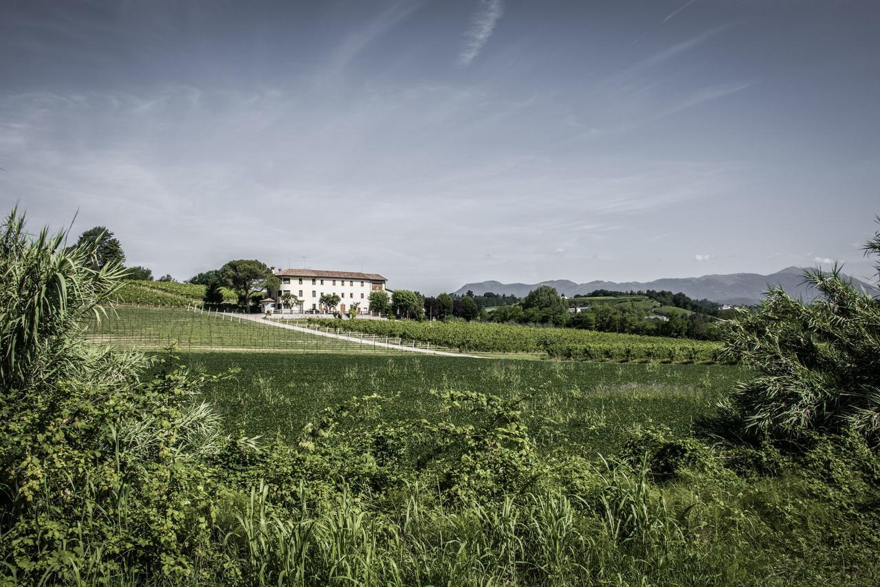 Terre Boscaratto Bed & Breakfast Susegana Bagian luar foto